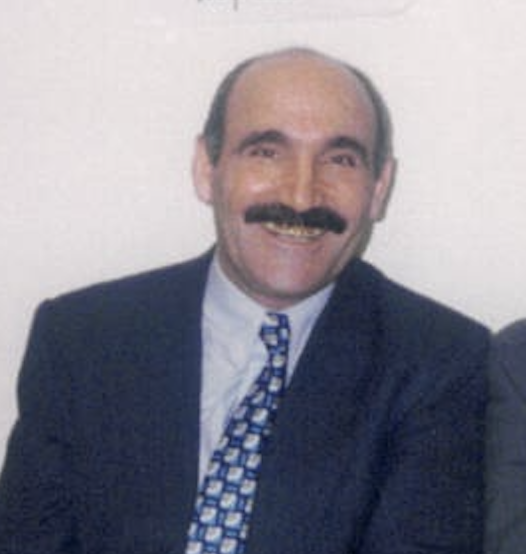 Mustafa Kara, Næstformand